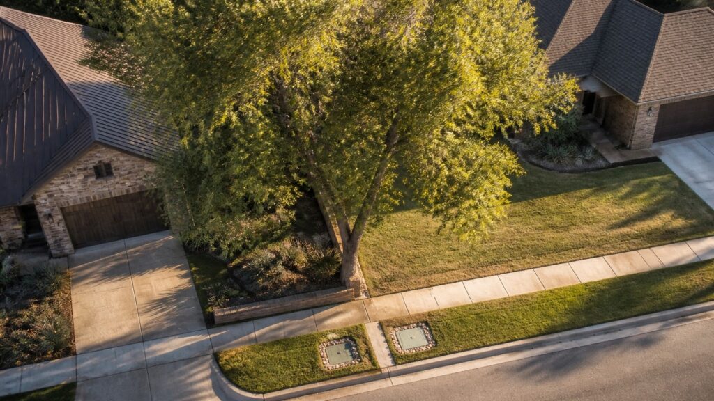 AI-generated illustration of a mature Abilene tree beside a property line, sidewalk, and utility easement
